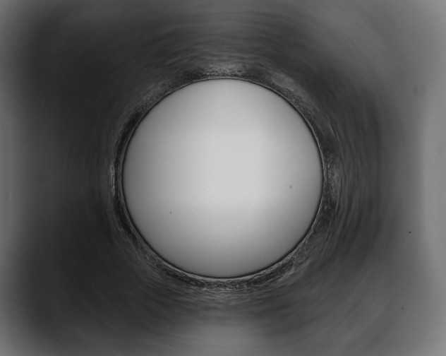 X0000088650729200705250941
