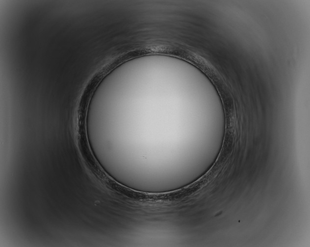 X0000088650730200705250941