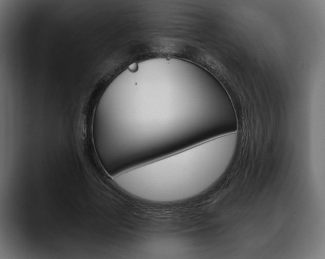 X0000088650731200705250941
