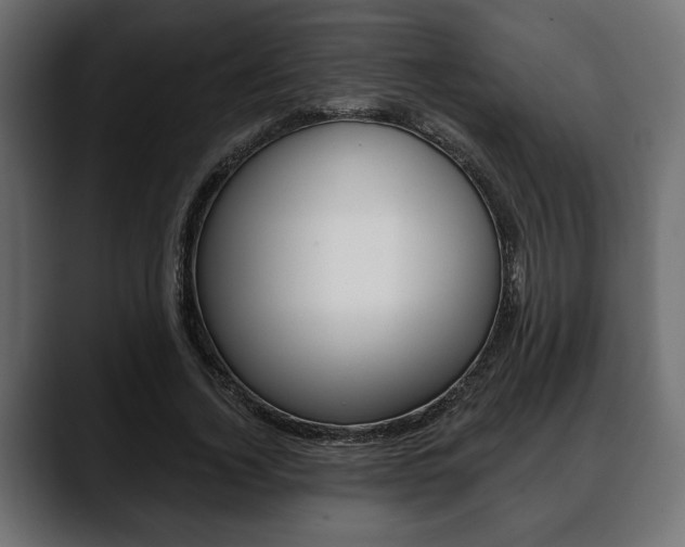 X0000088650732200705250941