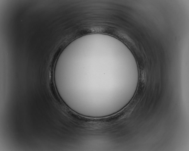 X0000088650733200705250941