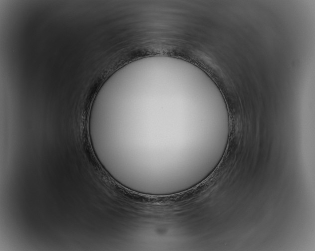 X0000088650737200705250941