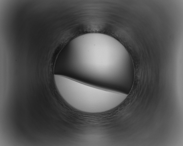 X0000088650743200705250941