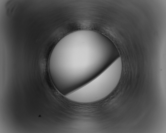 X0000088650744200705250941