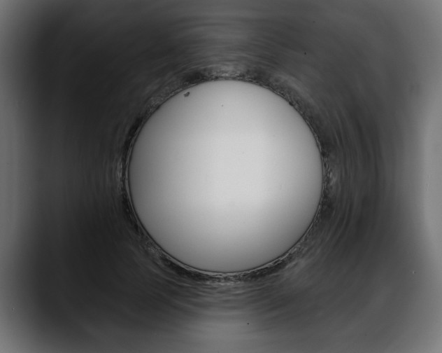 X0000088650745200705250941