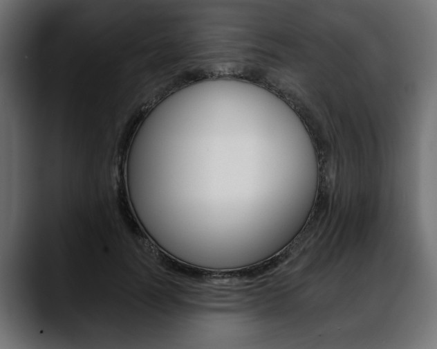 X0000088650746200705250941