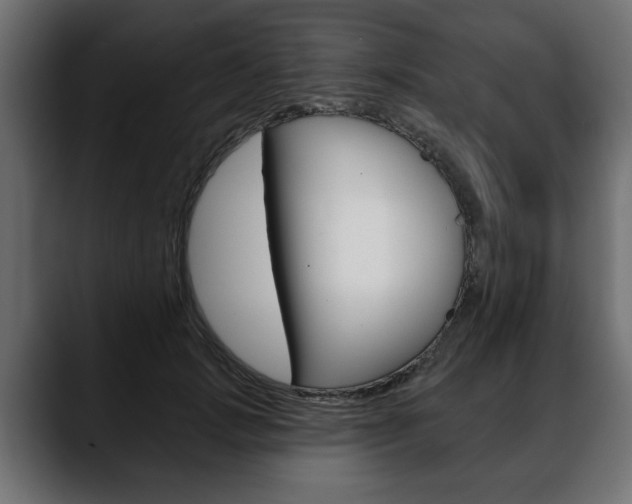 X0000088650749200705250941