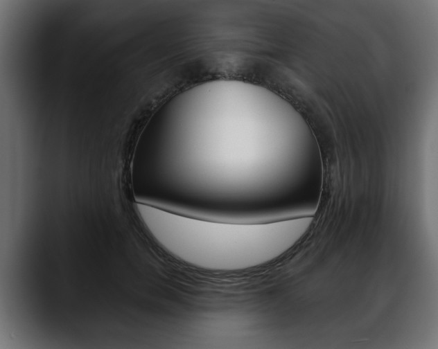 X0000088650750200705250941