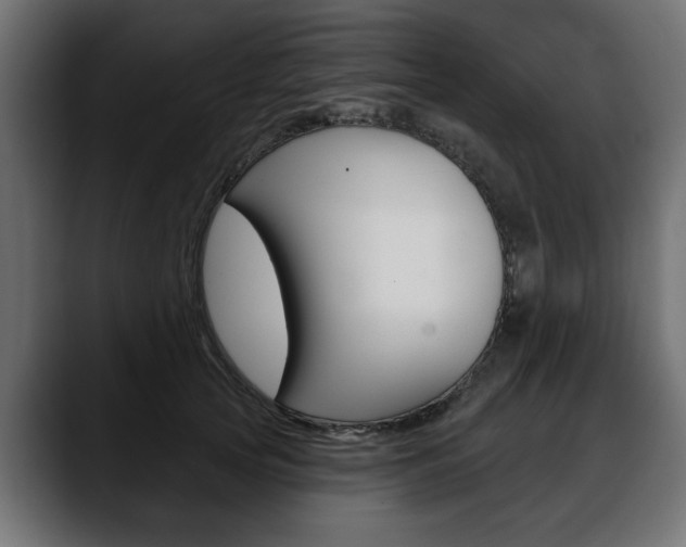 X0000088650753200705250941
