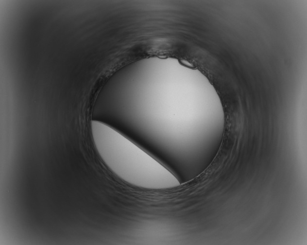 X0000088650755200705250941
