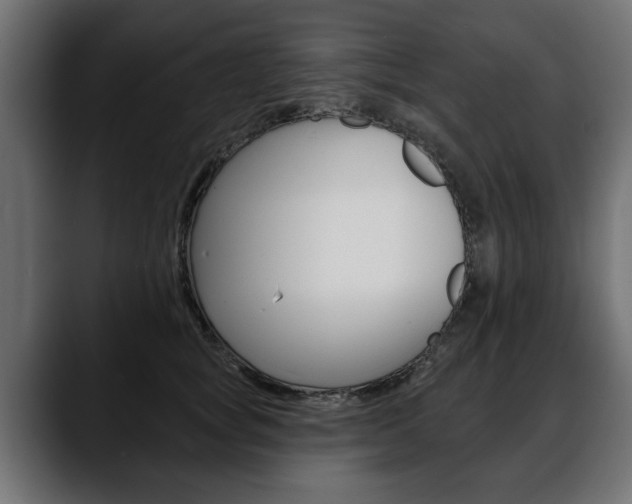 X0000088650757200705250941