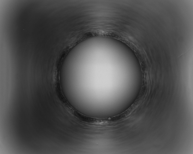 X0000088650760200705250941