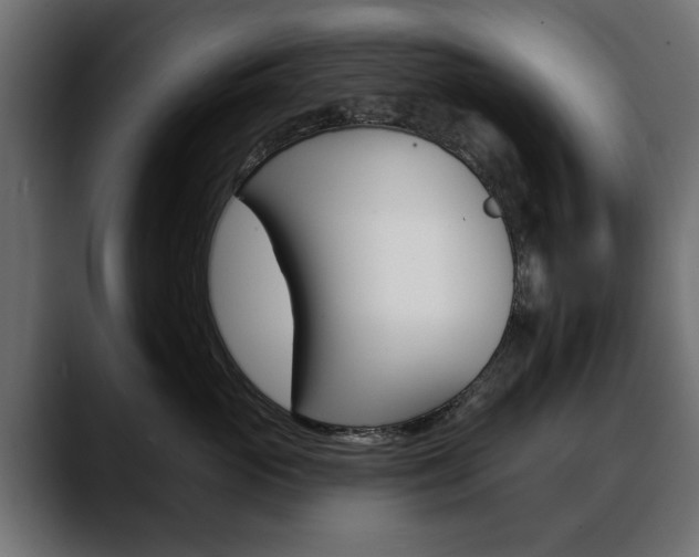 X0000088650765200705250942