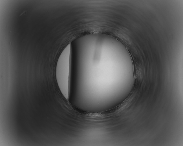 X0000088650766200705250942
