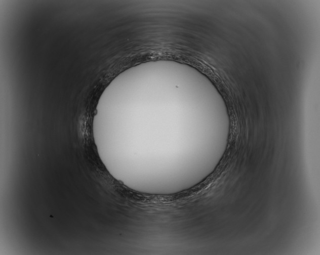 X0000088650770200705250941