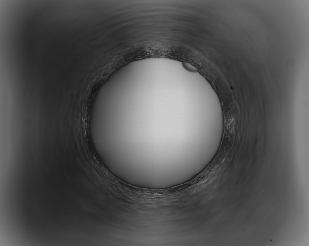 X0000088650772200705250941