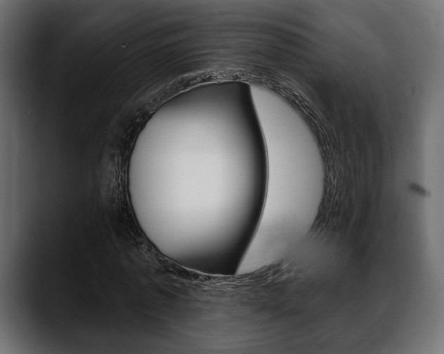 X0000088650773200705250941
