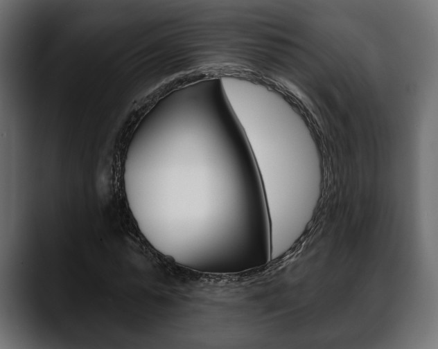 X0000088650775200705250941