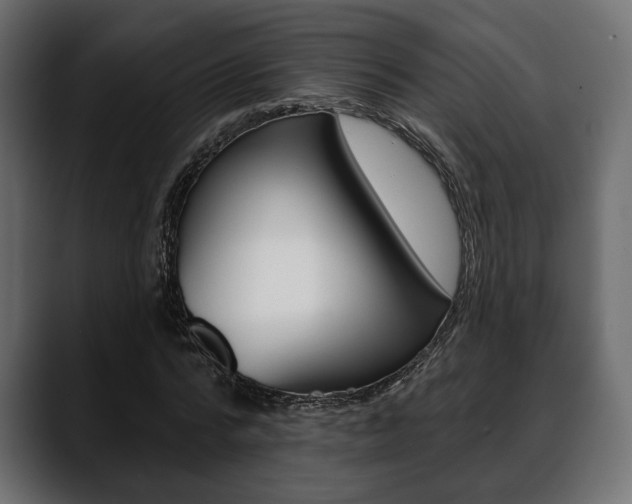 X0000088650776200705250941
