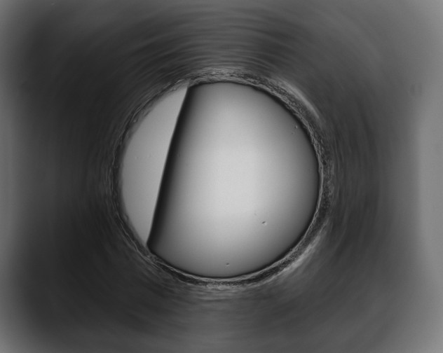 X0000088650777200705250941