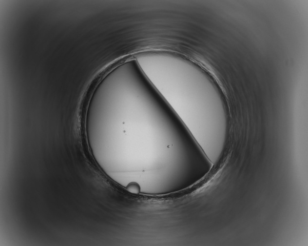 X0000088650779200705250941