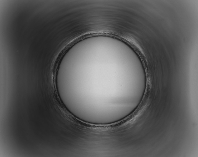X0000088650781200705250941