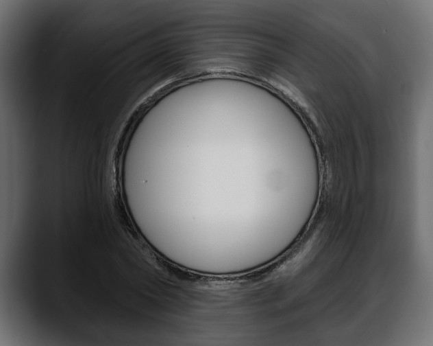 X0000088650782200705250941