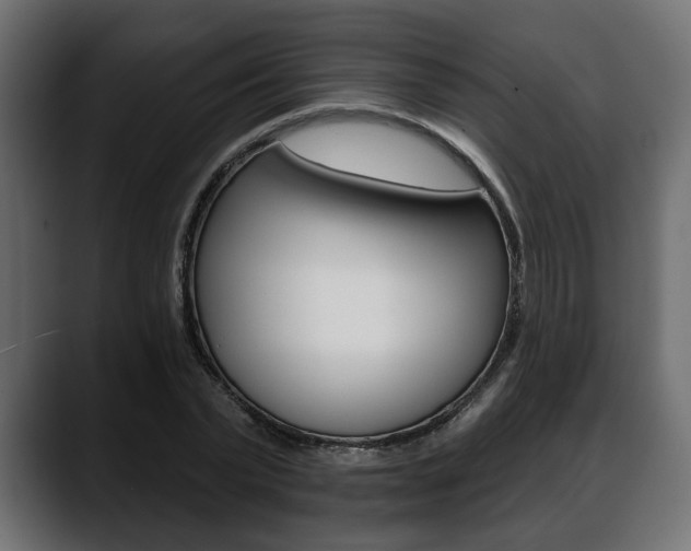 X0000088650783200705250941