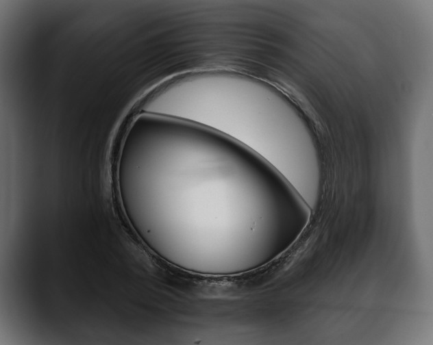 X0000088650784200705250941