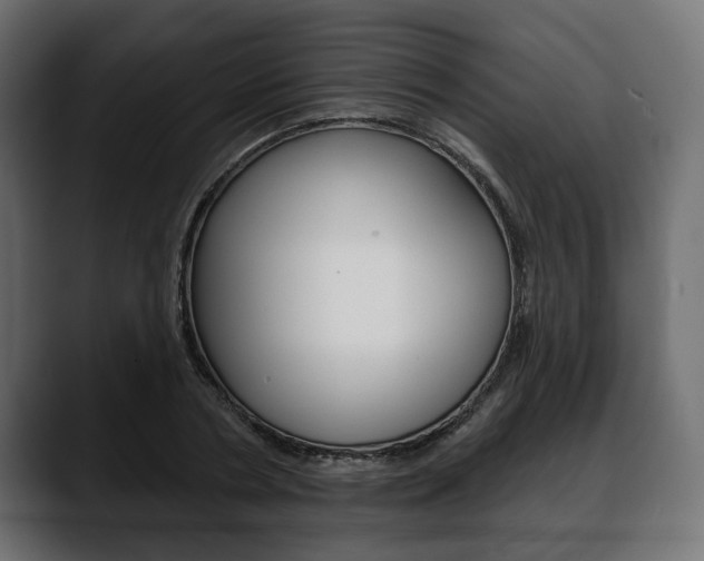X0000088650786200705250941