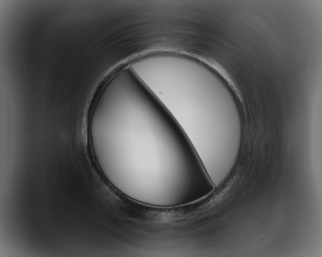 X0000088650791200705250941