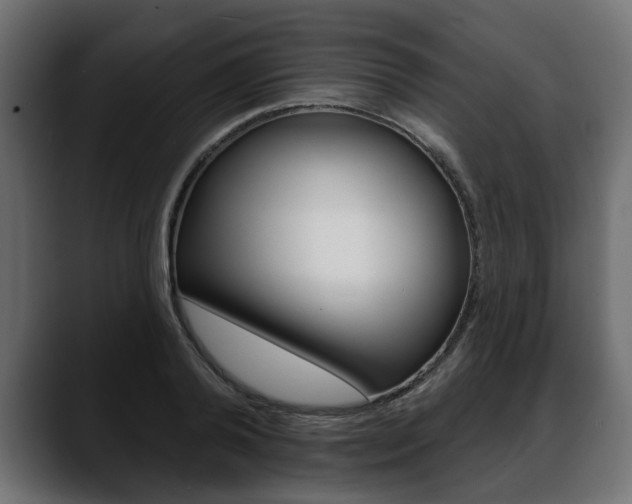 X0000088650792200705250941