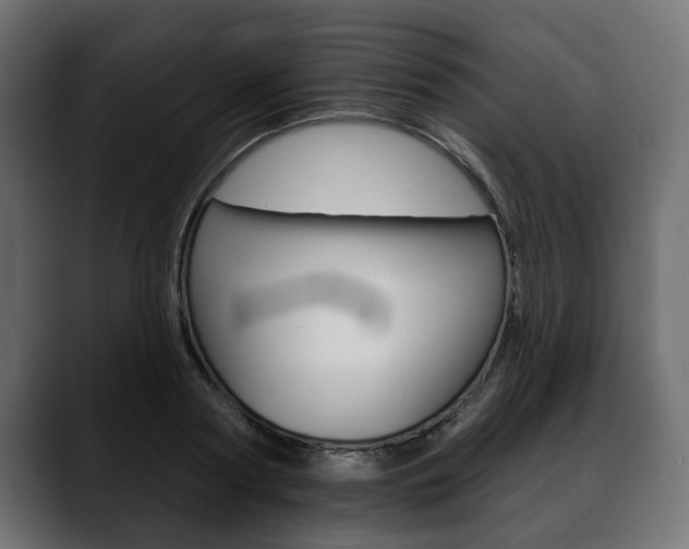 X0000088650794200705250941
