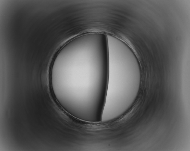 X0000088650795200705250941