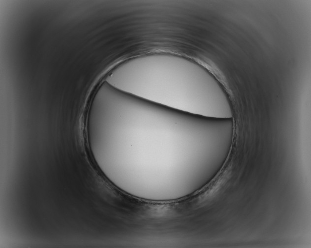 X0000088650798200705250941