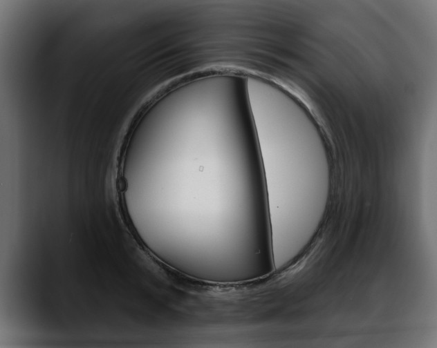 X0000088650799200705250941