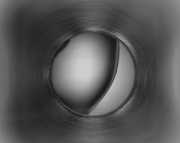 X0000088650801200705250941