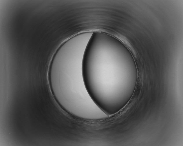 X0000088650805200705250940