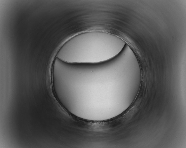 X0000088650808200705250940