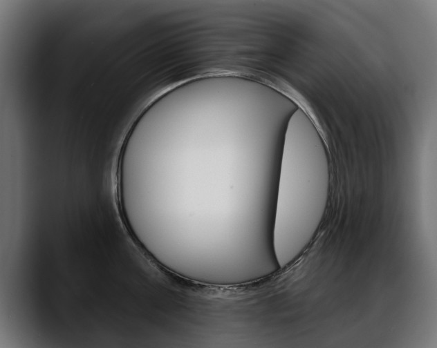 X0000088650811200705250940