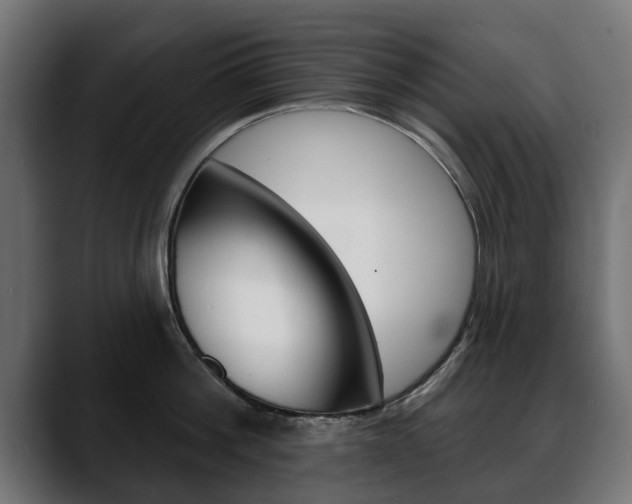 X0000088650812200705250940