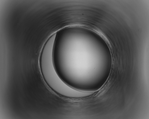 X0000088650813200705250940