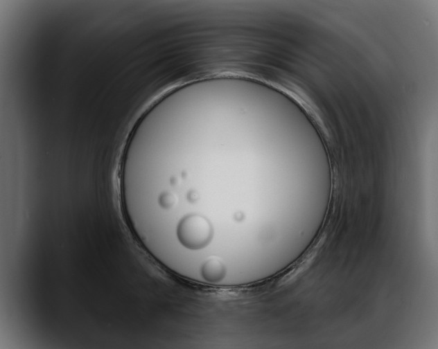 X0000088650814200705250940