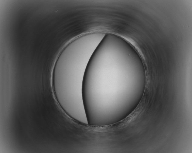 X0000088650815200705250940