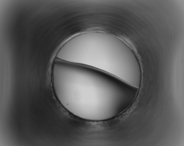 X0000088650816200705250940