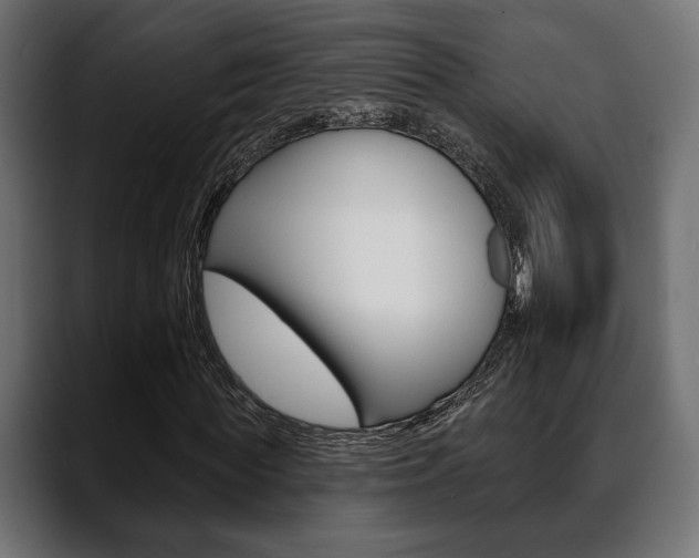 X0000088650819200705250940