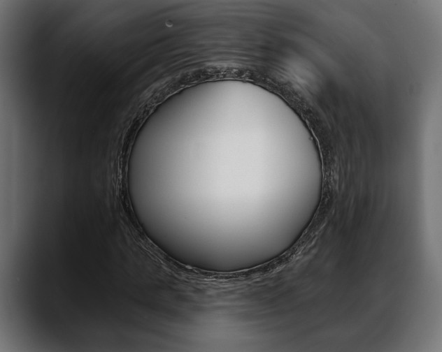 X0000088650821200705250940