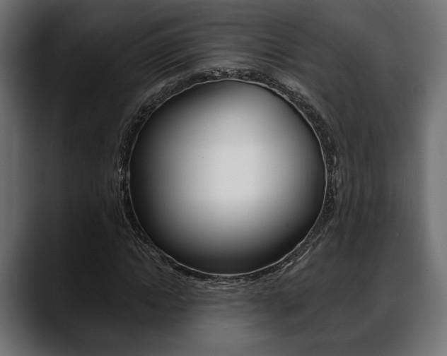 X0000088650822200705250940