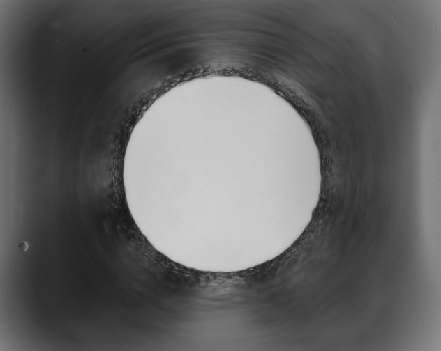 X0000088650824200705250940
