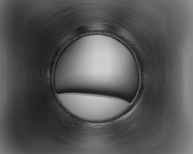 X0000088650825200705250940